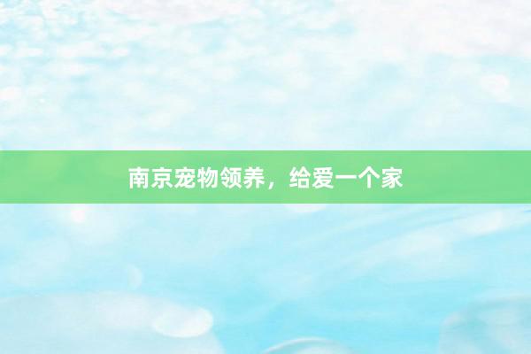 南京宠物领养，给爱一个家